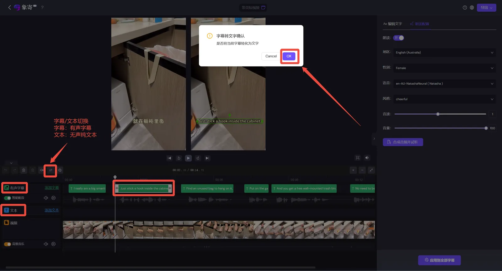 Toggle between voiced subtitle and plain text